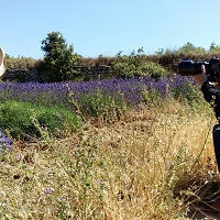 Ikuo, photographe de reportage japonais